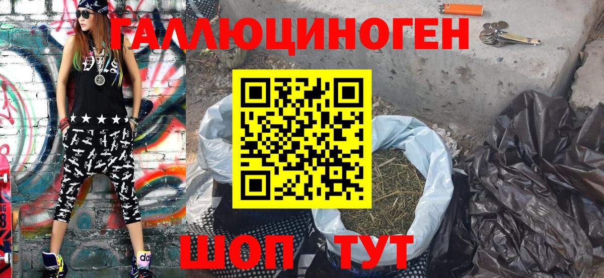 Камышлов  Псилоцибиновые грибы GOLDEN TEACHER  Псилоцибиновые грибы мухоморы  Вход с VPN 
