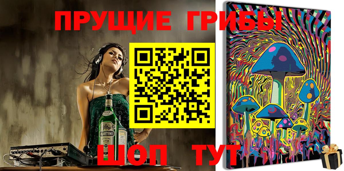 Псилоцибиновые грибы Psilocybine cubensis Камышлов